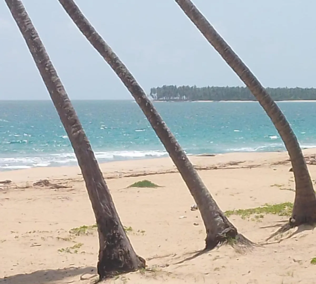 Punta Cana Life 0*, 蓬塔卡纳