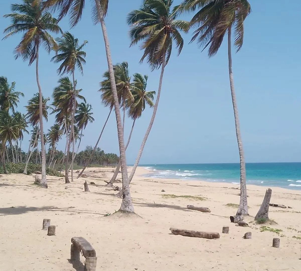 Punta Cana Life 营地